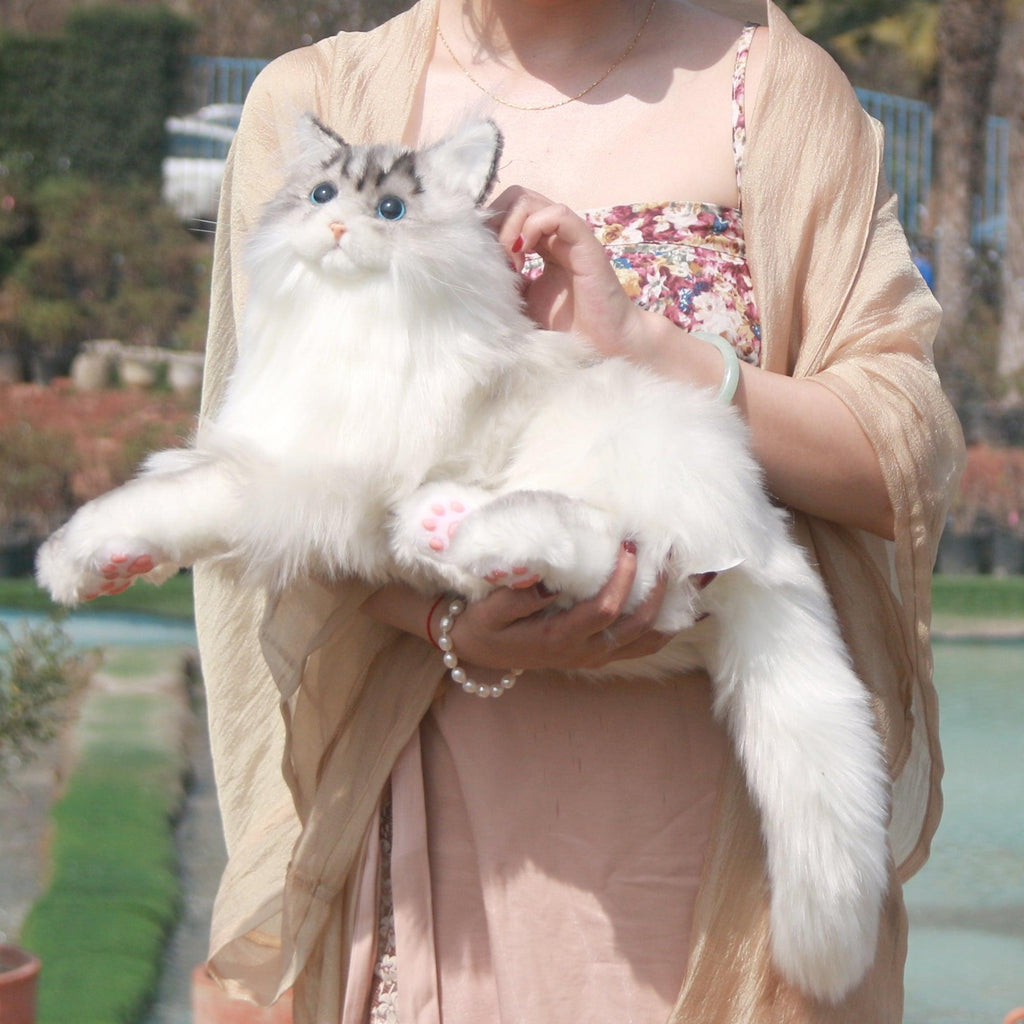 Adopt Tracy the Weighted Cat Plush – 3lbs of Pure Calm