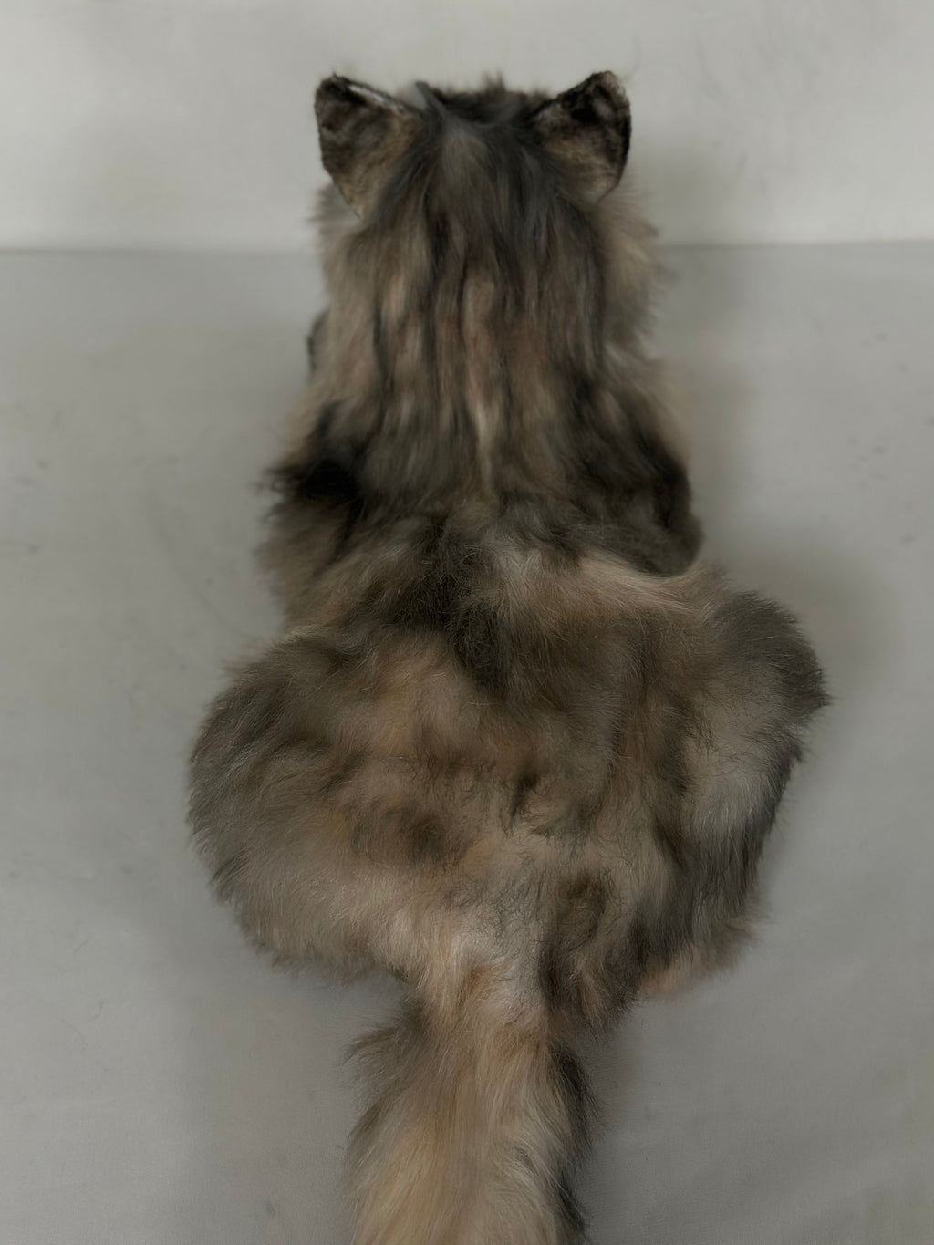 Adopt Hazel the American Tabby Longhair – Handmade Life-Size Companion & Memorial