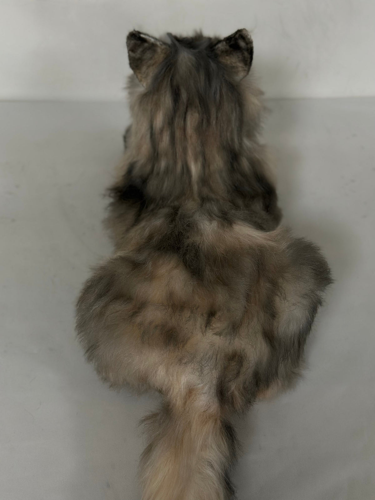 Adopt Hazel the American Tabby Longhair – Handmade Life-Size Companion & Memorial