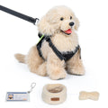 Adopt Sunny the Golden Retriever – Weighted Emotional Support Plush