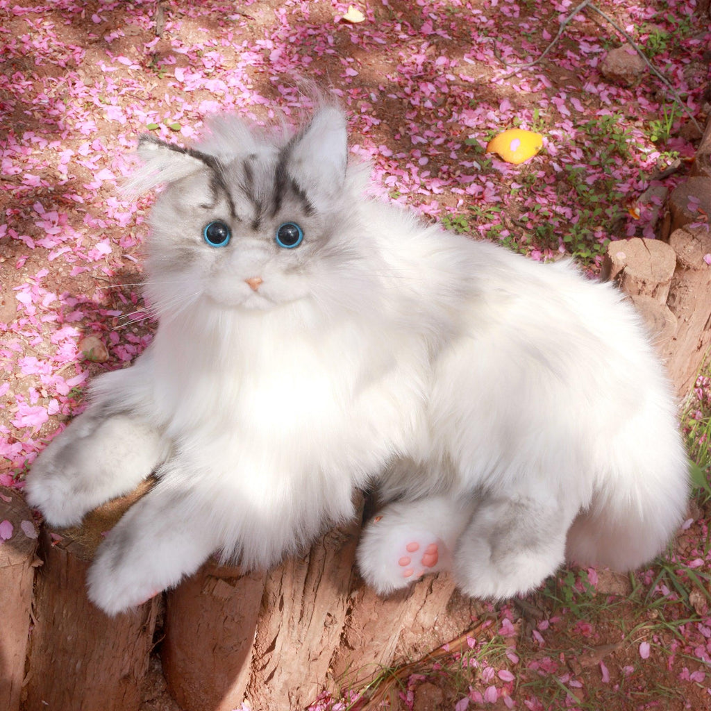Adopt Tracy the Weighted Cat Plush – 3lbs of Pure Calm