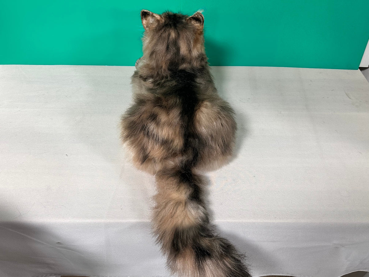 Adopt Fjord the Norwegian Forest Cat – Handmade Life-Size Companion & Memorial