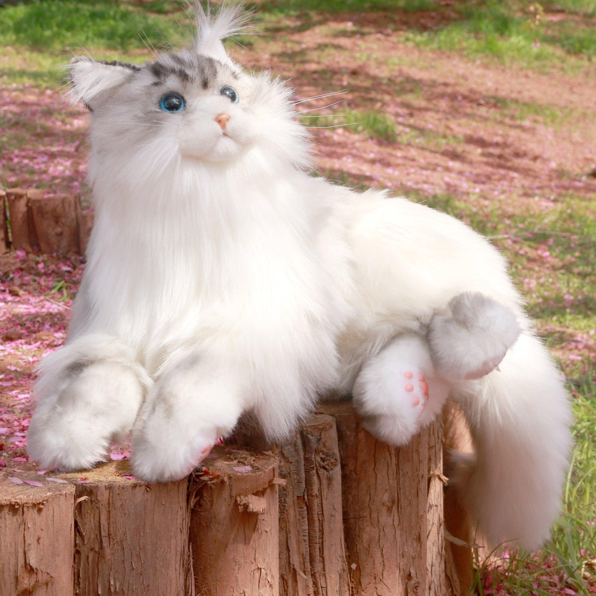 Adopt Tracy the Weighted Cat Plush – 3lbs of Pure Calm