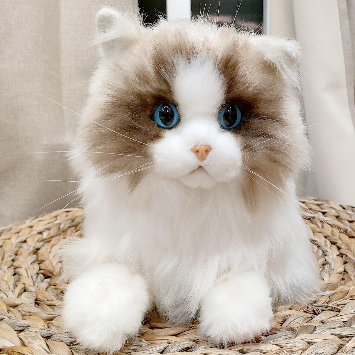 Adopt Velvet the Ragdoll Weighted Plush – Cozy Calming Companion