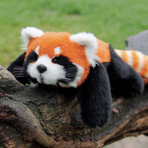 Adopt a Red Panda Weighted Plush – Maple, Ember & Luna