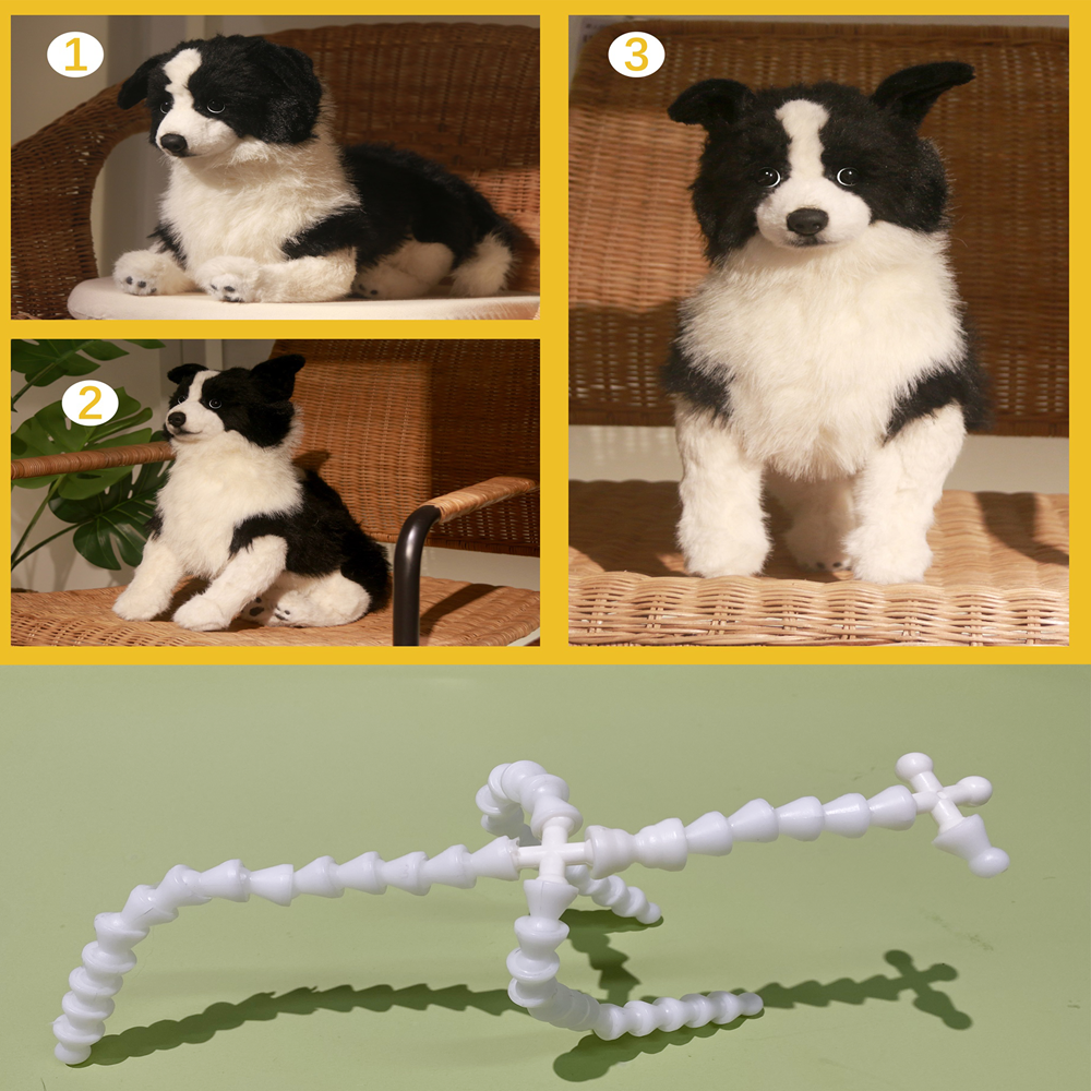 Sage — The Poseable Border Collie