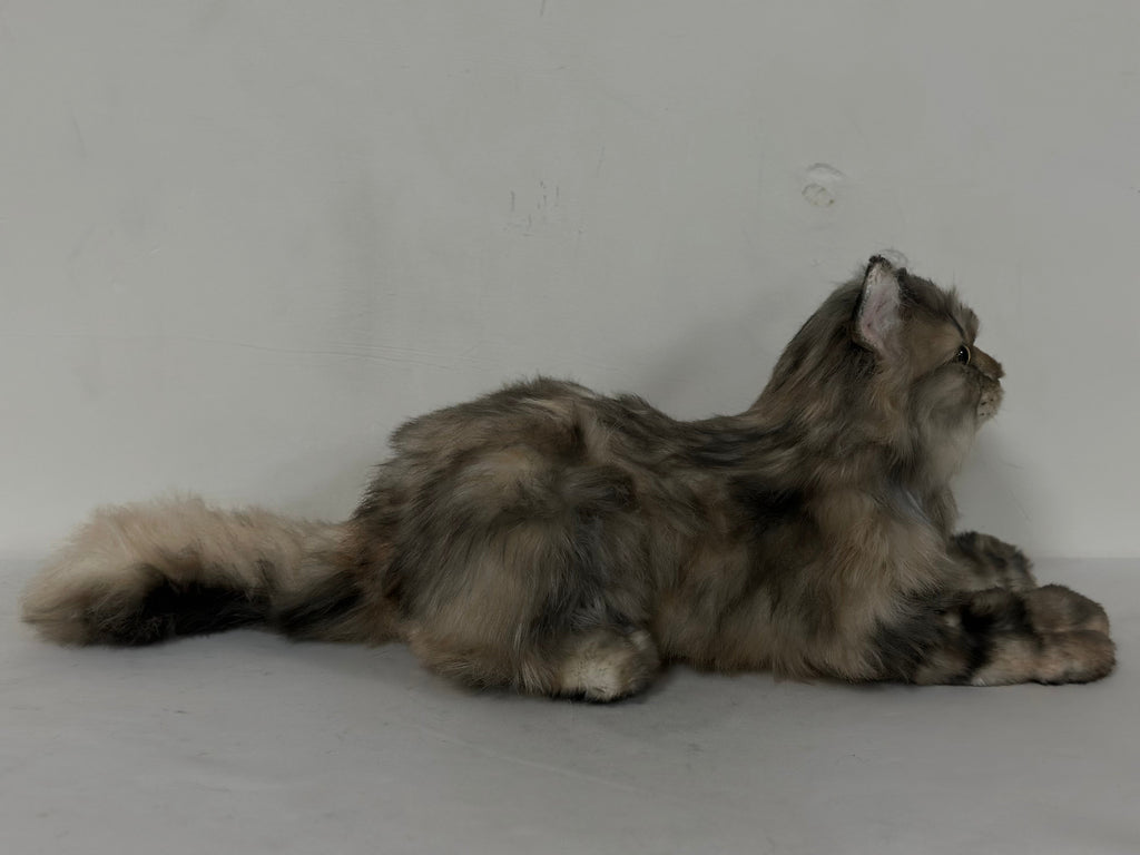 Adopt Hazel the American Tabby Longhair – Handmade Life-Size Companion & Memorial
