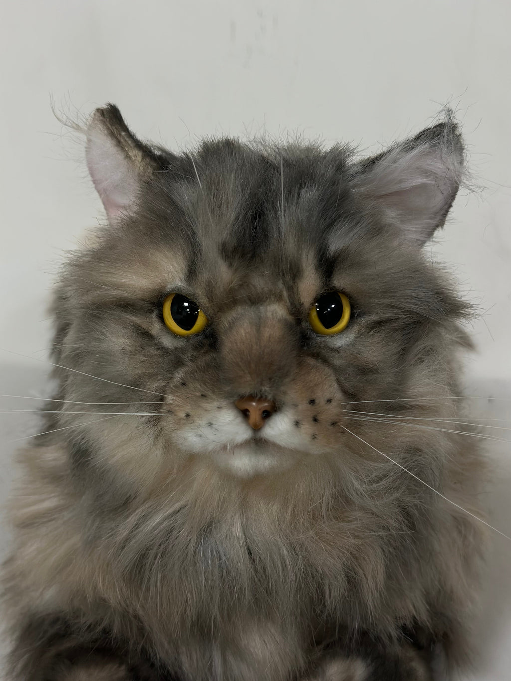 Adopt Hazel the American Tabby Longhair – Handmade Life-Size Companion & Memorial