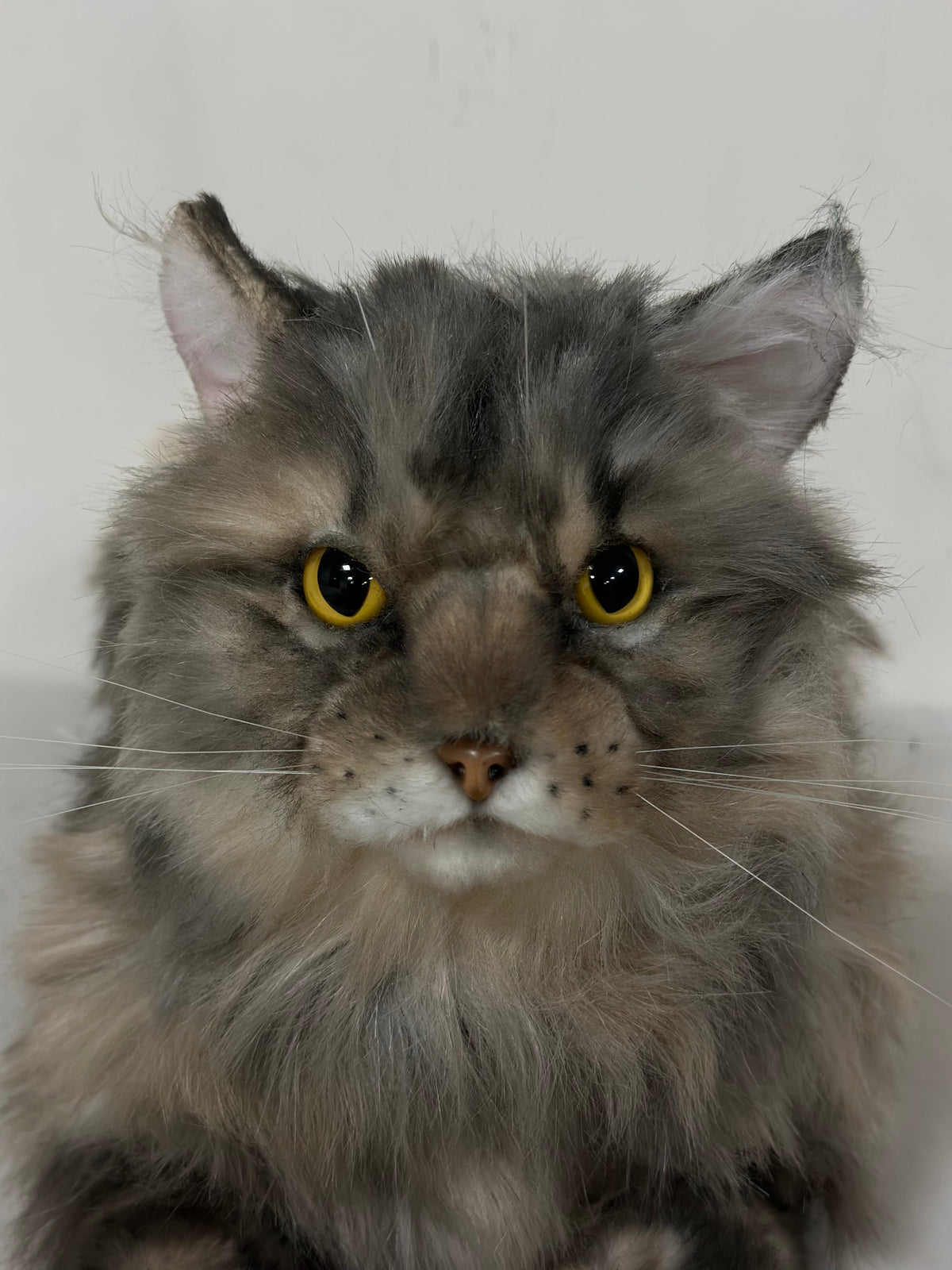 Adopt Hazel the American Tabby Longhair – Handmade Life-Size Companion & Memorial