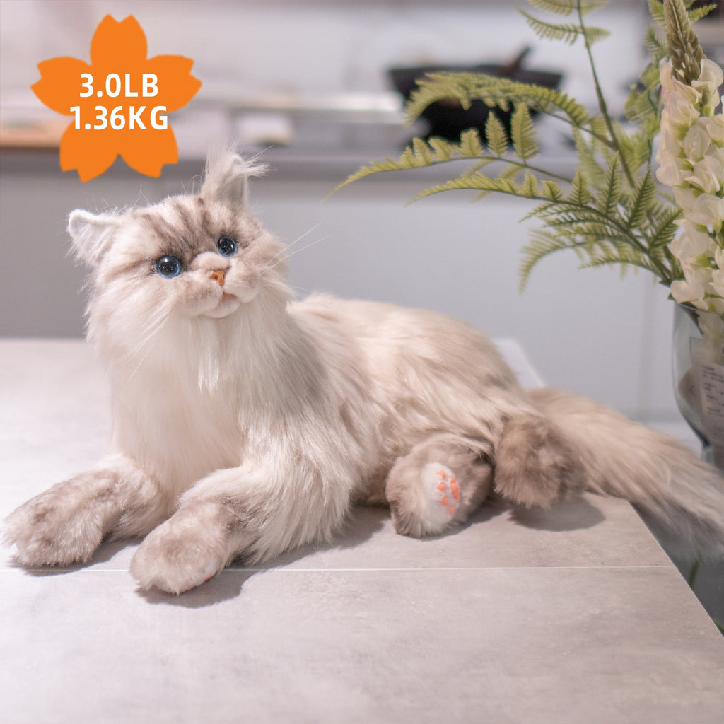 Adopt Tracy the Weighted Cat Plush – 3lbs of Pure Calm